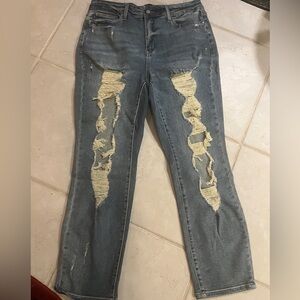 Judy Blue Distressed Skinny Jeans